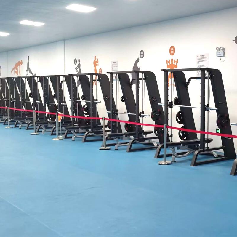 WeiLikang Commercial Smith Machine & Bench Press Rack