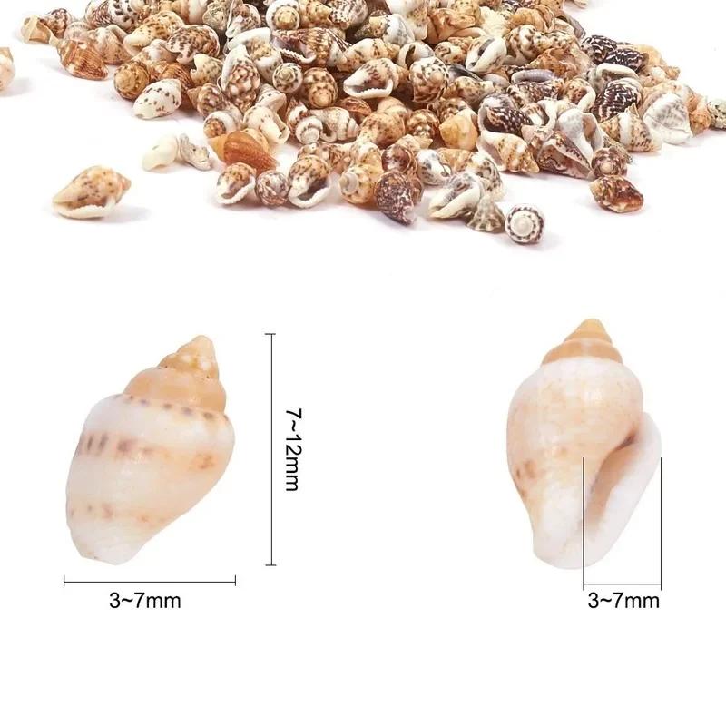 1300-1500Pcs/Box Natural Shell Conch Ornaments Accessories Parts DIY Material Jewelry Components Sea Shell