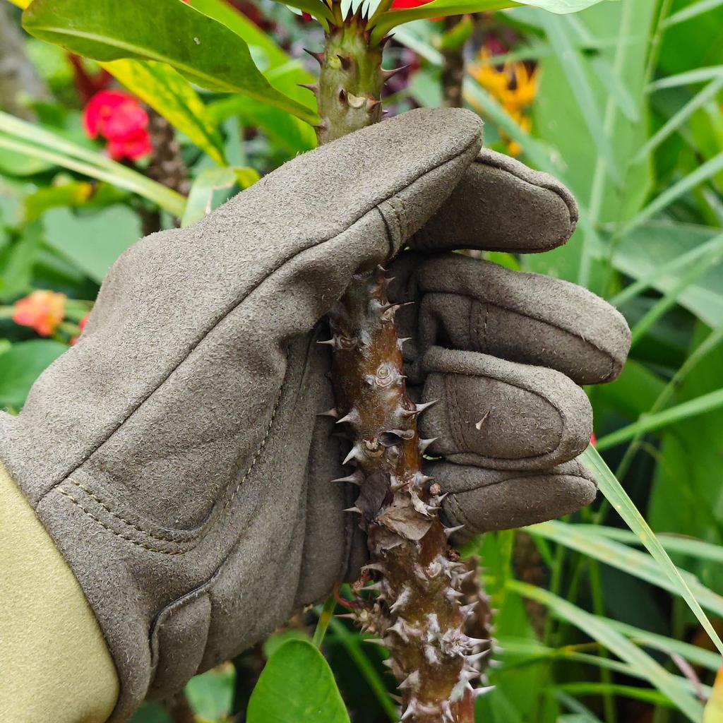 Gooyi Gardening Garden Rose Long Gardening Puncture Work Gloves for Gardening [gwooyi] Gloves, Gloves, Gloves, Sleeve, Supplies, Resistant,