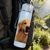 1PC Happy Golden Retriever 750ml Color Plastic Sports Water Bottle Leakproof Flip Straw Lid Suitable for Sports Office Home Use