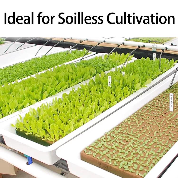 Rock Wool Starter Plugs Rock Wool Grow Cubes Seed Starters Planting Cubes Hydroponics Cuttings Garden Plant Propagation Grow