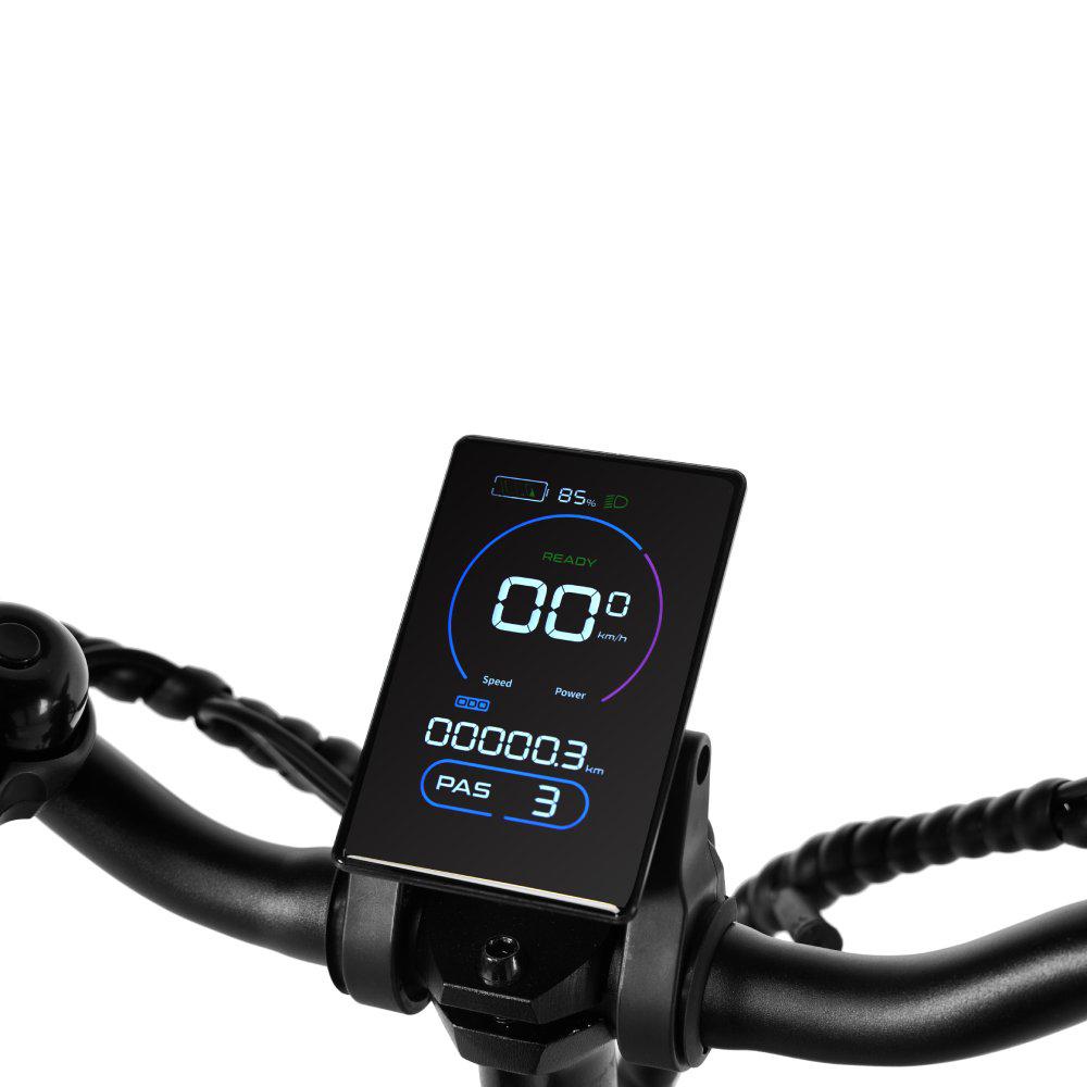 PIXAR STAR Elektrické kolo pro dospělé 500W bezkartáčový motor 48V15Ah baterie 20palcová kola Maximální nosnost 120 kg Ideální pro městské dojíždění a každodenní cestování