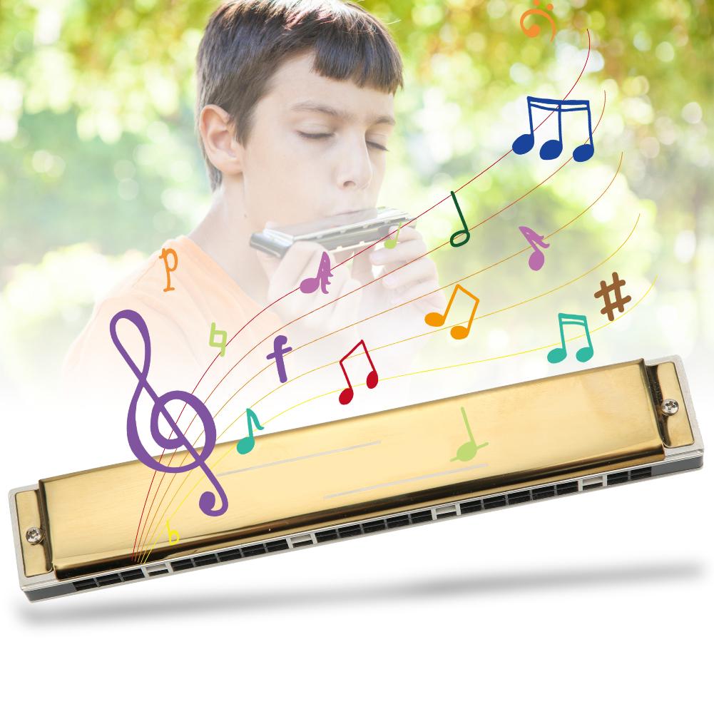 Mundharmonika Professionelle Mundorgel Diatonische Harfe 1,2 mm Messing Grundplatte 24-Loch Polyphon(Goldener D-Schlüssel)