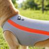 Lightweight Breathable Dog Cooling Vest Summer Pet Cooling Jacket Mesh Fabric Soft Dog Clothes for Hot Weather Outdoor Activities