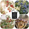 Outdoor Orchard Net Bag Mushroom Picking Bag Large Capacity Foldable Picking Bag Organization Storage Bags Home Storage