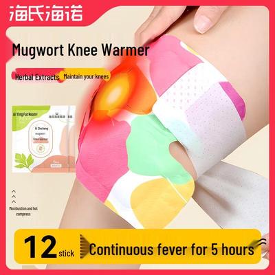Haishi Hainuo Self-Heating Relief Patches