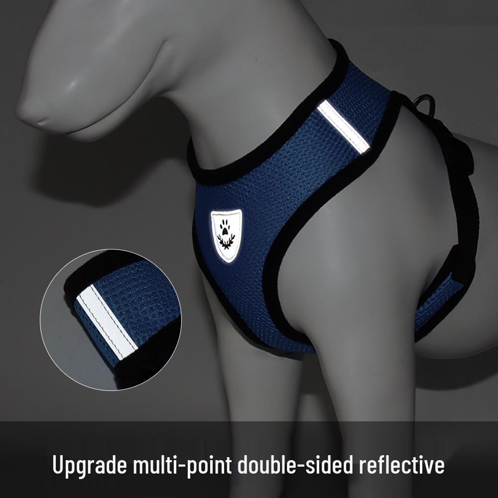 Breathable Dog Harness and Leash Set for Outdoor Walking