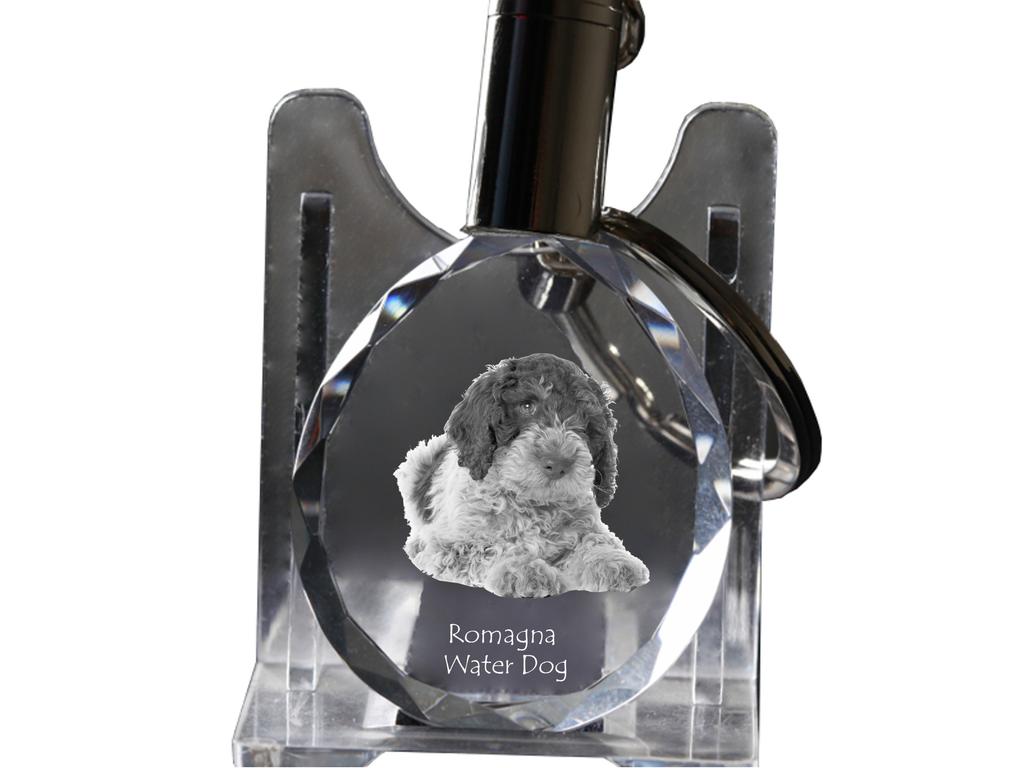 Romagna Water Dog - Pendant with a Photo of a Dog, Crystal Key Ring In a Gift Box, a Unique Gift by Art-Dog