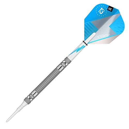 Target Darts Phil Taylor Power Series Silber 21G T