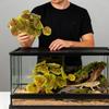 Reptile Fake Plants With Base Fake Realistic Amphibian Habitat Decor Leaves Terrarium Artificial Leaves Plants For Lizard Gecko