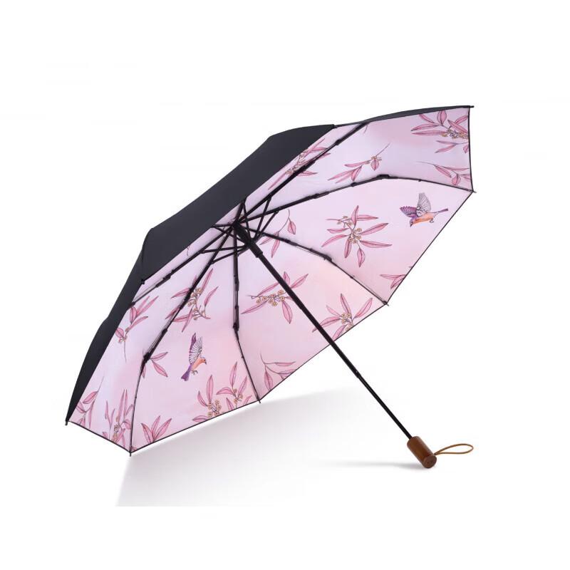 Heaven Umbrella 31137E Dark Fragrance Folding Sun/Rain Umbrella