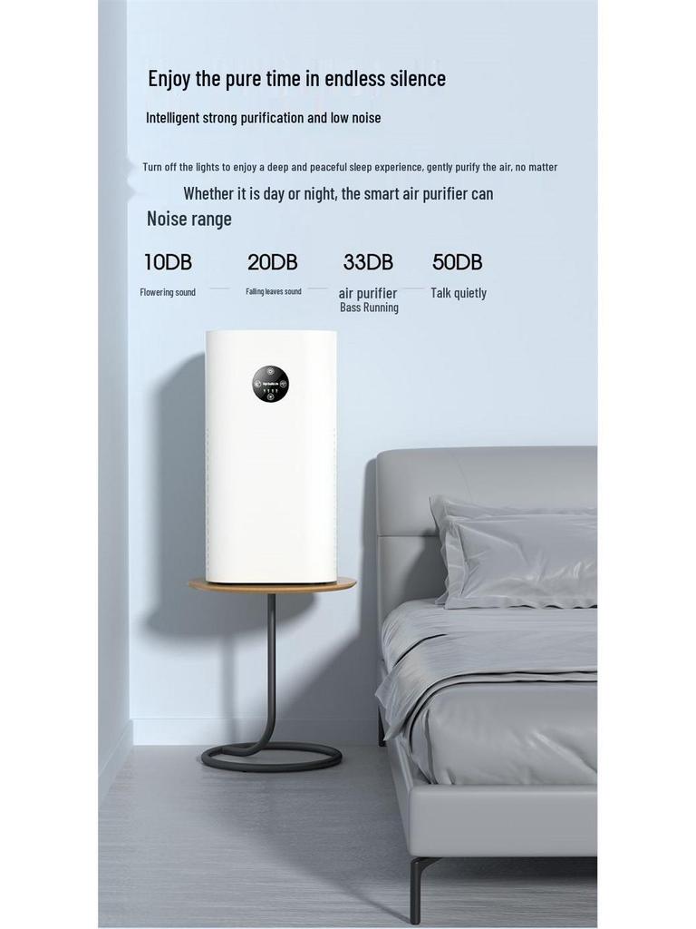 Home Negative Ion Air Purifier: Removes Pet Hair, Smoke, Odors, and Eliminates Indoor Smog.