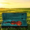 Oxford Fabric Violin Carry Transport Case With Shockproof Padding And Adjustable Shoulder Strap For 1/4 To 4/4 Violins