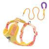 Adjustable Dog Harness Small Medium Breeds Color Block Design Comfortable Chest Vest With Leash XS To L Sizes