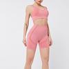 Women Fitness Tracksuit 2 Pieces Set Slim Crop Top +Seamless Shorts Active Wear Outfits Suit
