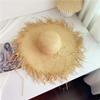 Summer Wind Big Brim Raffia Straw Hat Women's Beach Hat Travel Seaside Vacation Sun Hat