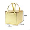 Food Delivery Bag Thermal Cake Carrying Multifunctional Travel for Frozen