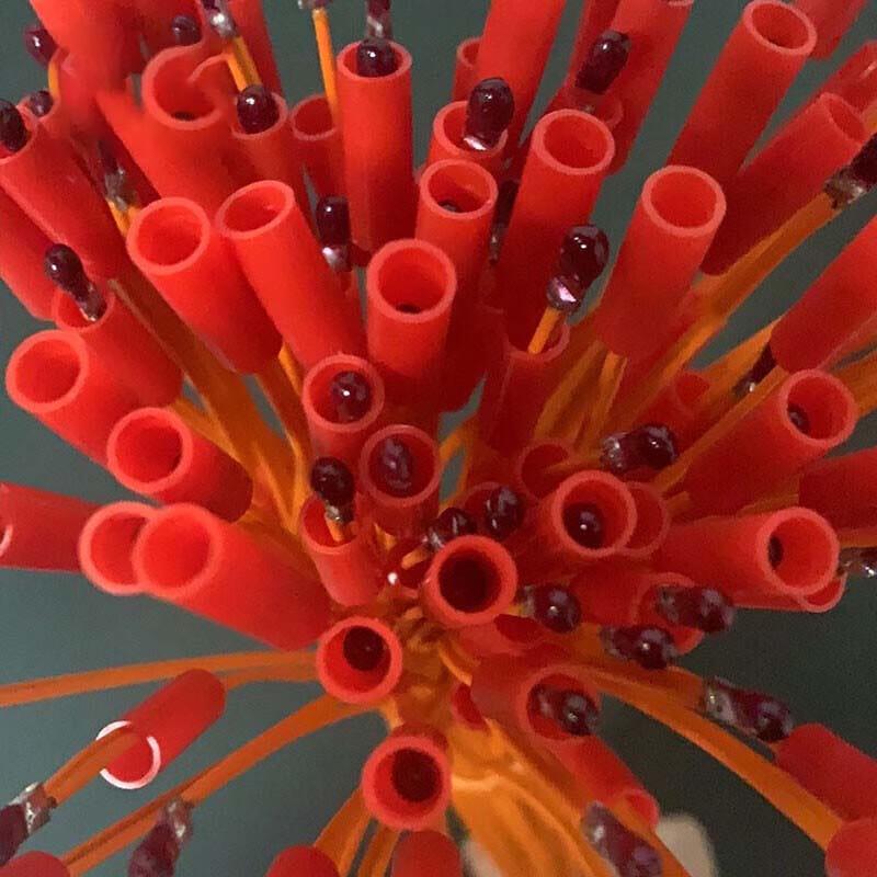 Touzhi 30cm Electronic Disposable Igniter