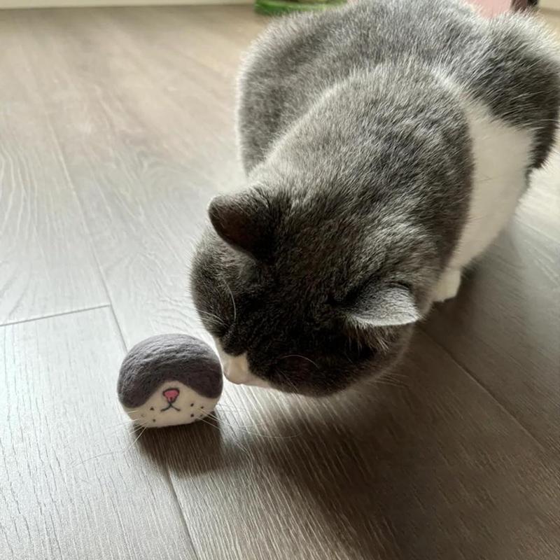 Cat Whisker Storage Felt Refrigerator Magnets Cat Whiskers Collection Cat Vibrissae Keepsake Pets Souvenir Gift Home Decor