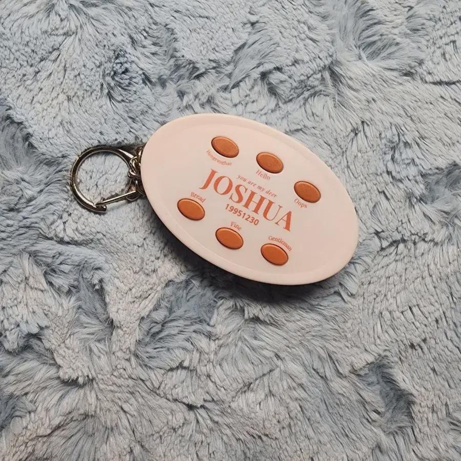 Seventeen Joshua Voice Keyring Photocard