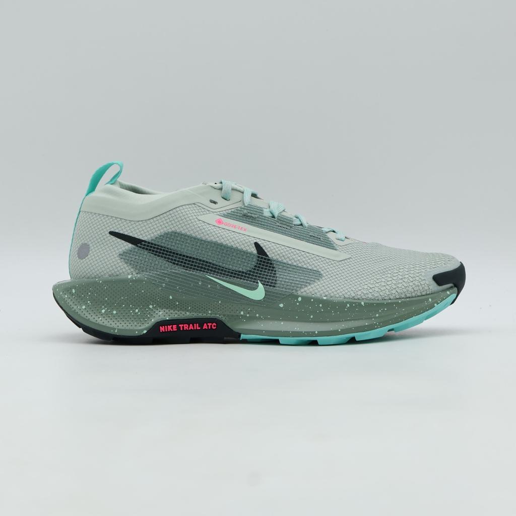 FQ0908-013 Nike Pegasus Trail 5 GORE-TEX Light Silver Clay Green Mint Foam (Men'