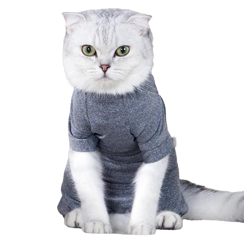 

Soft Polyester Post Surgical Recovery Suit For Female Cats Four Leg Design Secure Wear Breathable Pet Surgical Garment M.