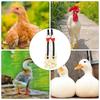 Reusable Pet Duck Diaper Cute Goose Flight Suits Hen Vest Poultry Costume  Poultry Supplies