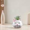 Cute Cat Flower Pot Ceramic Cat Succulent Plant Pots Vase Bonsai Decorative Multi-Function Flowerpot with Drain Hole Home Decor