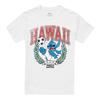 Lilo & Stitch Unisex Adult Hawaii Ball T-Shirt