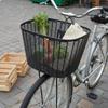 Cesto da Bicicletta in Vimini Design Rattan Sintetico Ciclo Facile da Pulire Contenitore Portaoggetti per Donne,