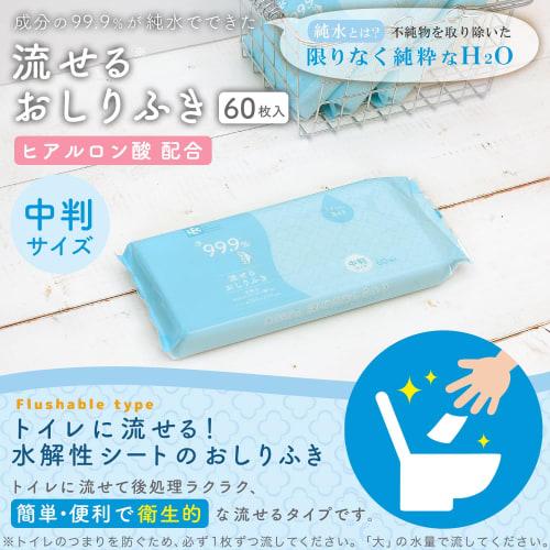 LEC 99.9% Pure Water Flushable Wet Wipes for Adults, Medium Size, 60 Wipes, Made In Japan, Mild Acidity, Unscented