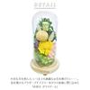 Glass Dome for Offerings Glass Dome Sachi