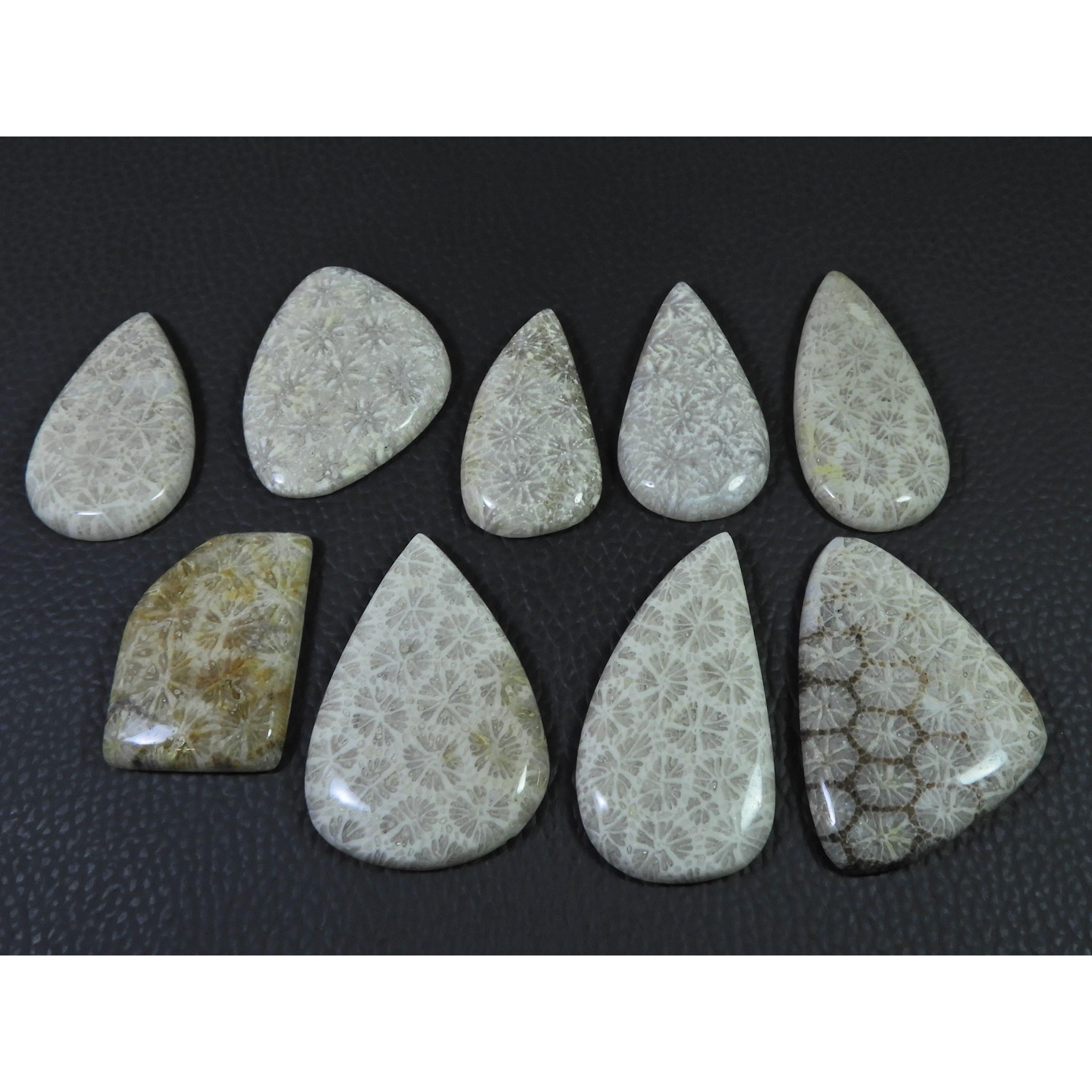 318Cts. Natural Fossil Coral Mix Cabochon Loose Gemstone 9Pcs Lot C-1889