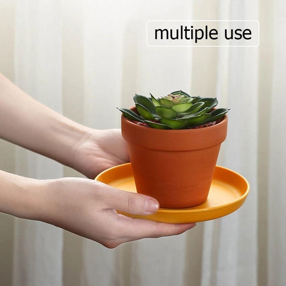 Kitchen Accessories Snack Plate Garbage Tray Residue Candy Tray Trash Tray Dessert Dish Fruit Plate