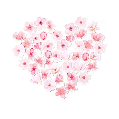 45 stücke Kirschblüte Aufkleber Lebendige Farben Sakura Sammelalbum Aufkleber Starken Klebstoff Blume