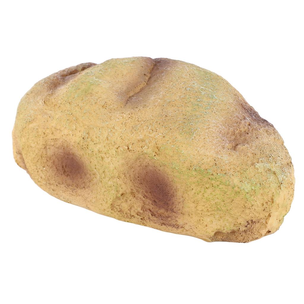 Fish Hiding Cave Resin Fadeless Vivid Comfortable Fish Tank Shelter Decoration for Reptile