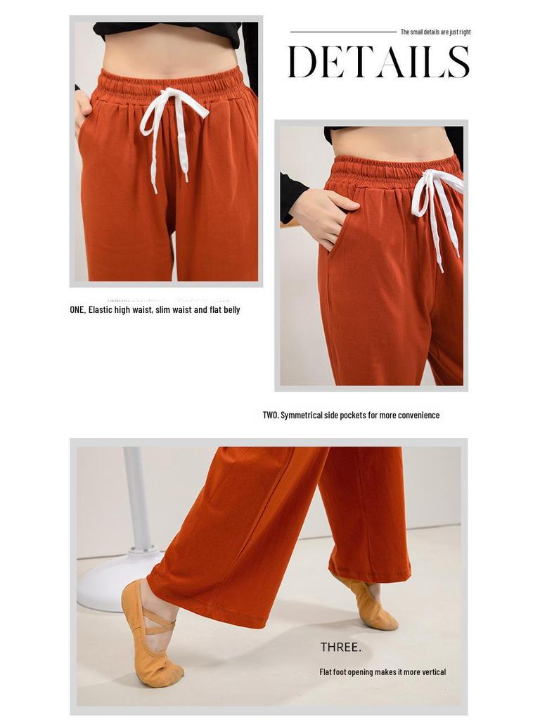Spring & Autumn Loose High-Waist Wide-Leg Pants for Adult Female Modern Dance