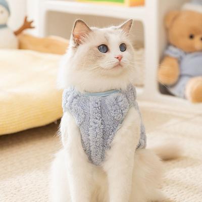 Katzenkleidung Herbst und Winter erwachsenes Kätzchen Nacktkatze warm zweibeiniges Fleece Hund Teddybär Haustierkleidung