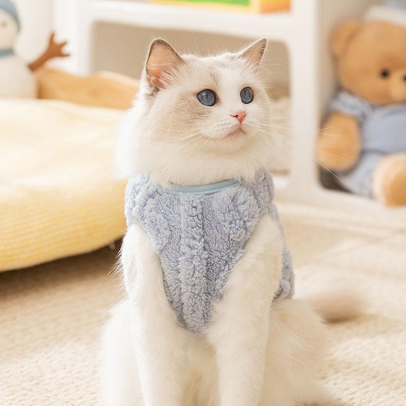 Cat clothes Autumn and winter adult kitten hairless cat warm two-legged fleece dog teddy than bear pet clothing