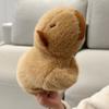 20cm 0.1kg – matches the image