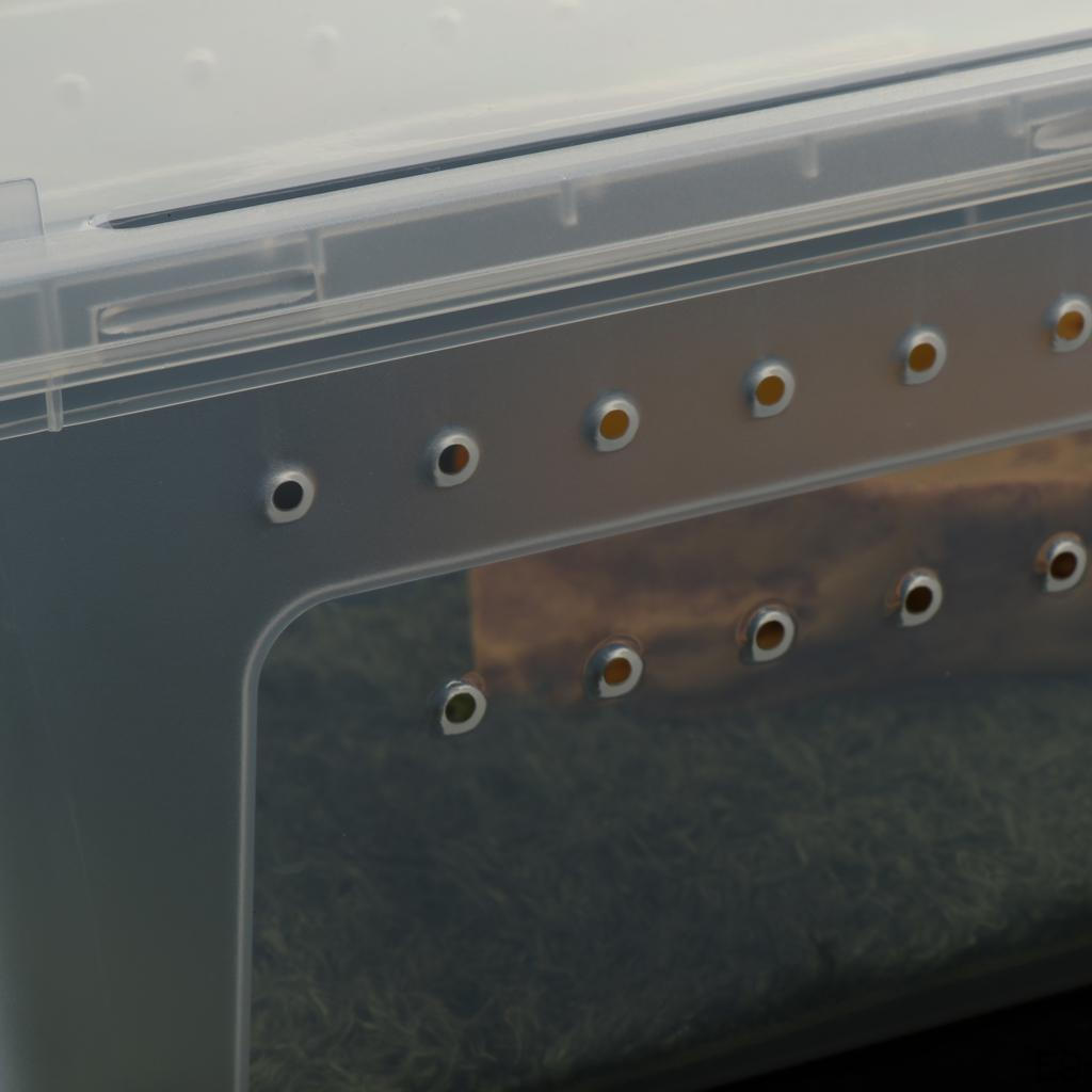 Pet Reptile Spider Breeding Box Transport Case Feeding Hatching Tank