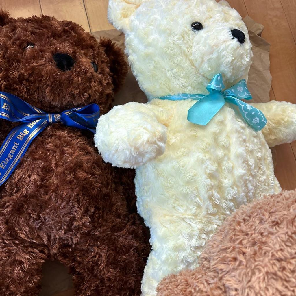 [USED] Teddy bear, Lovely bear, Rose bear, Teddy bear