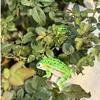 Niedliche Froschfigur Pflanzgefäß Dekoration Kleiner kletternder/liegender Frosch mit Blatt-Regenschirm Statue für Außenhof Terrasse Garten Dekor
