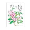 Hoshino Tomihiro 31 Poems Illustrations Daily Calendar Only Thing You Truly Need Is Just One