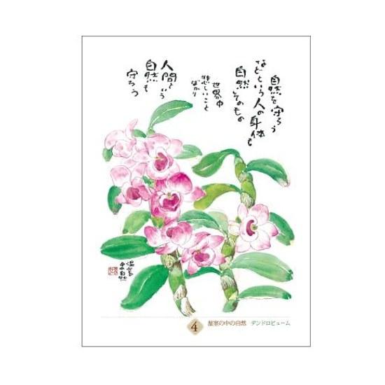 Hoshino Tomihiro 31 Poems Illustrations Daily Calendar Only Thing You Truly Need Is Just One