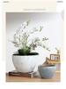 Nordic Style Extra-Large Ceramic Flower Pot for Indoor and Outdoor Use - Ideal for Money Tree & Pothos Creative Bonsai
