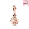 Openable Birthday Gift Dangle Charm 782591c01