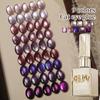 2025 Chameleon Cat Eye UV Gel Nail Polish Set for Salon Manicures