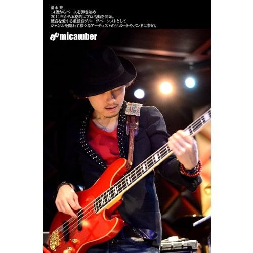Micawber Guitar/Bass Shielded Cable, S-L, Recommended by Top Japanese Players, Break-Resistant, Lightweight, Tweed Woven Fabric (3m)