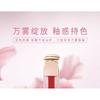 LANSUR - Velvet Glow Lip Mud - 4 Colors
